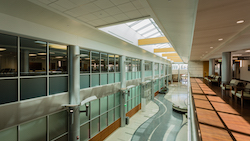 EFCO_LA-ThibodauxWellness_TedMiles_web1.jpg