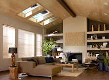 AAMA_S1-Cover-VELUX_web.jpg