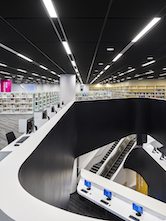 Rockfon_Color-all_Black_MilnerLibrary_LatreilleArchitecturalPhotography4web.jpg