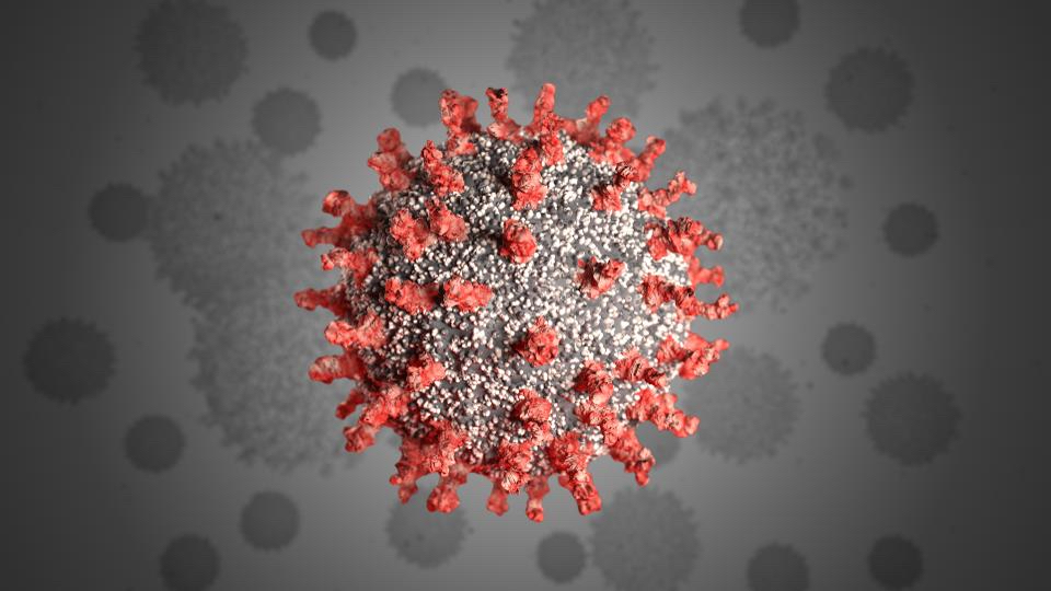 FGIA_Coronavirus.jpg