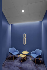 10Rockfon_NC-Honeywell_EricLaignel-93web.jpg