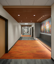 2Rockfon_WI-MadisonAreaTechnicalCollege-Corridor4_TriciaShayPhotography_web.jpg