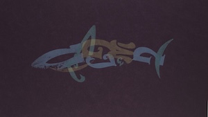 BillMoran_LetterFish-#11LetterShark_web.jpg