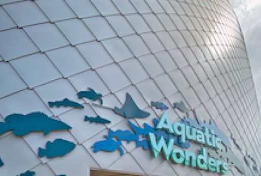 Newly opened Mississippi Aquarium